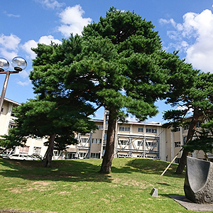 小中高校が多い学生の街