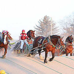 世界で唯一のばんえい競馬！