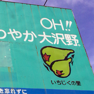 大沢野いちじく