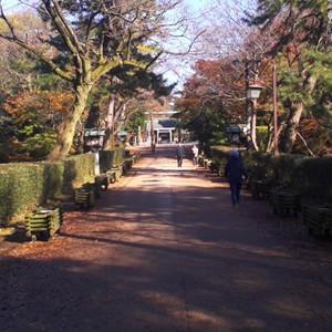 中心市街地に広大な自然公園