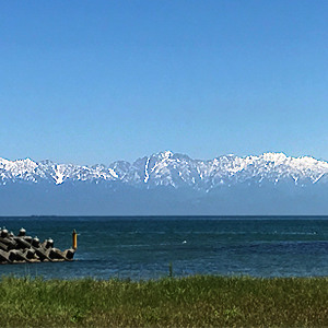 海越しの立山連峰が綺麗です