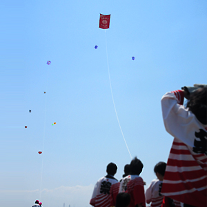 越中だいもん凧祭り"