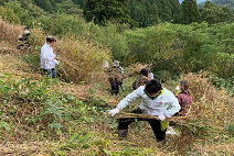 「なんとの森づくり」、茅苗の植栽作業と茅の刈り取りを行いました。