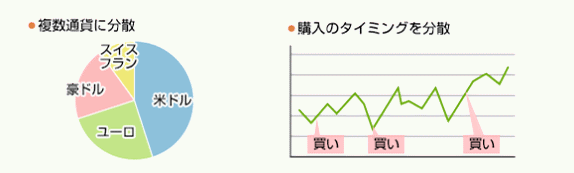 複数通貨に分散・購入のタイミングを分散