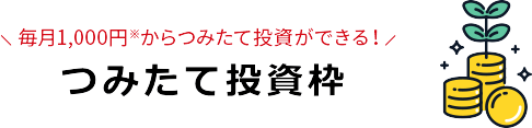 つみたて投資枠