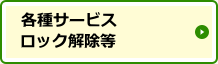 各種サービスロック解除等