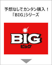 予想なしでカンタン購入「BIG」シリーズ