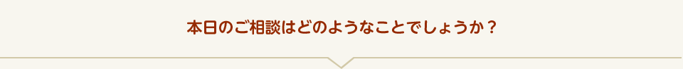 本日のご相談はどのようなことでしょうか？